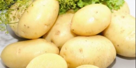 Lady claire krompir: karakteristike sorte, recenzije